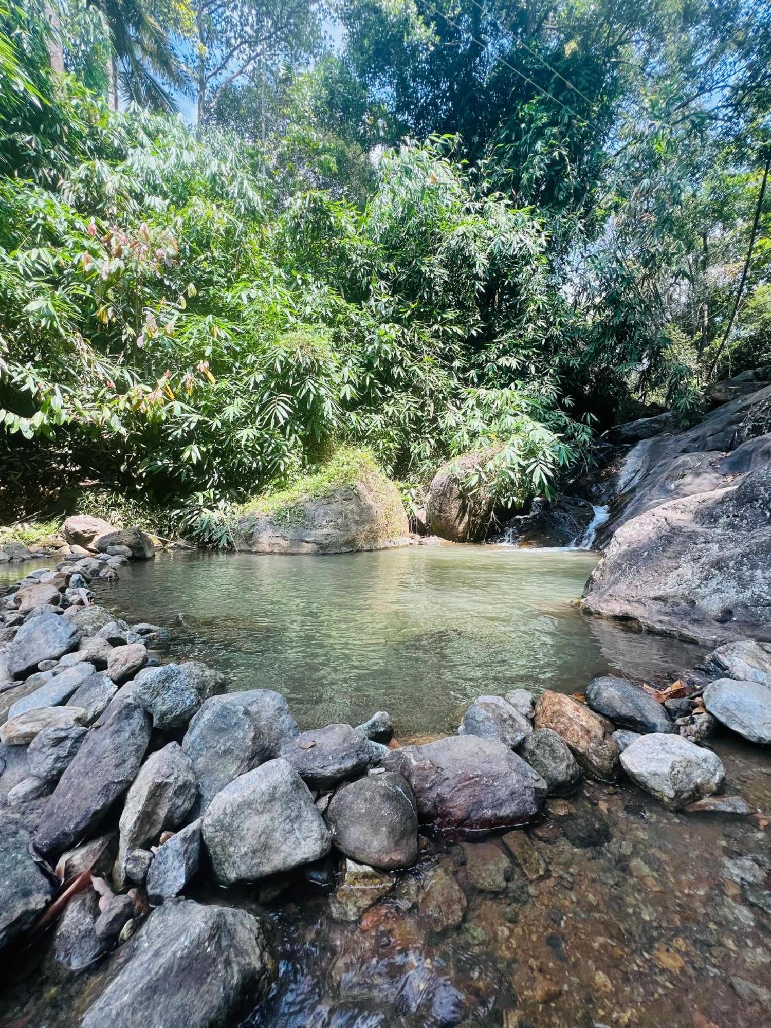 Mount Court Munnar Hotel Luaran gambar